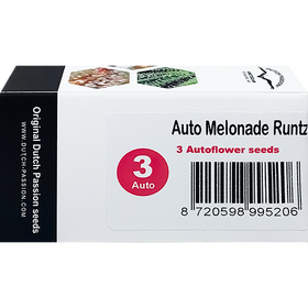 Melonade Runtz AutoFem