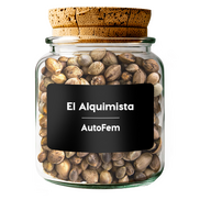 El Alquimista AutoFem