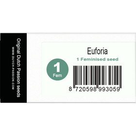 Euforia Fem