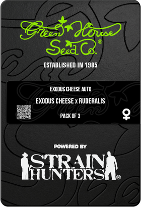 Exodus Cheese AutoFem