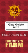 Glue Gelato AutoFem