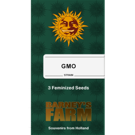 GMO Fem