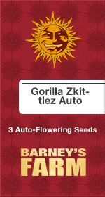 Gorilla Zkittlez AutoFem