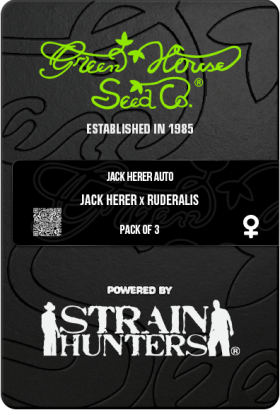 Jack Herer AutoFem