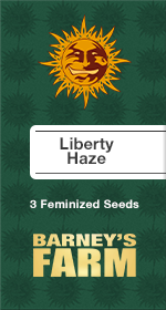 Liberty Haze Fem