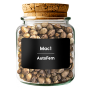 Mac1 AutoFem