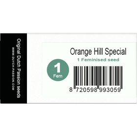 Orange Hill Special Fem