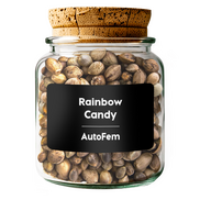 Rainbow Candy AutoFem