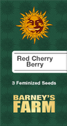 Red Cherry Berry Fem