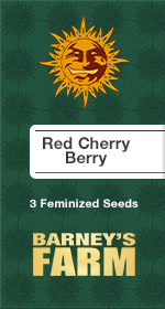 Red Cherry Berry Fem