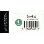 Snow Bud Fem