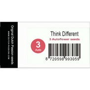 Think Different AutoFem