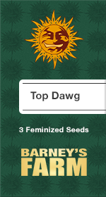 Top Dawg Fem
