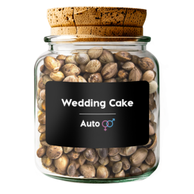 Wedding Cake Auto