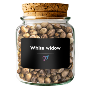 White Widow
